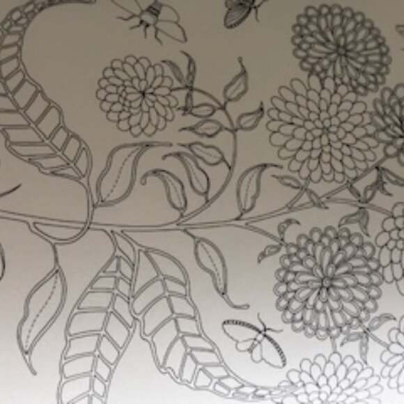 Secret Garden Treasure Hunt and Coloring Book - Picture 3 of 7